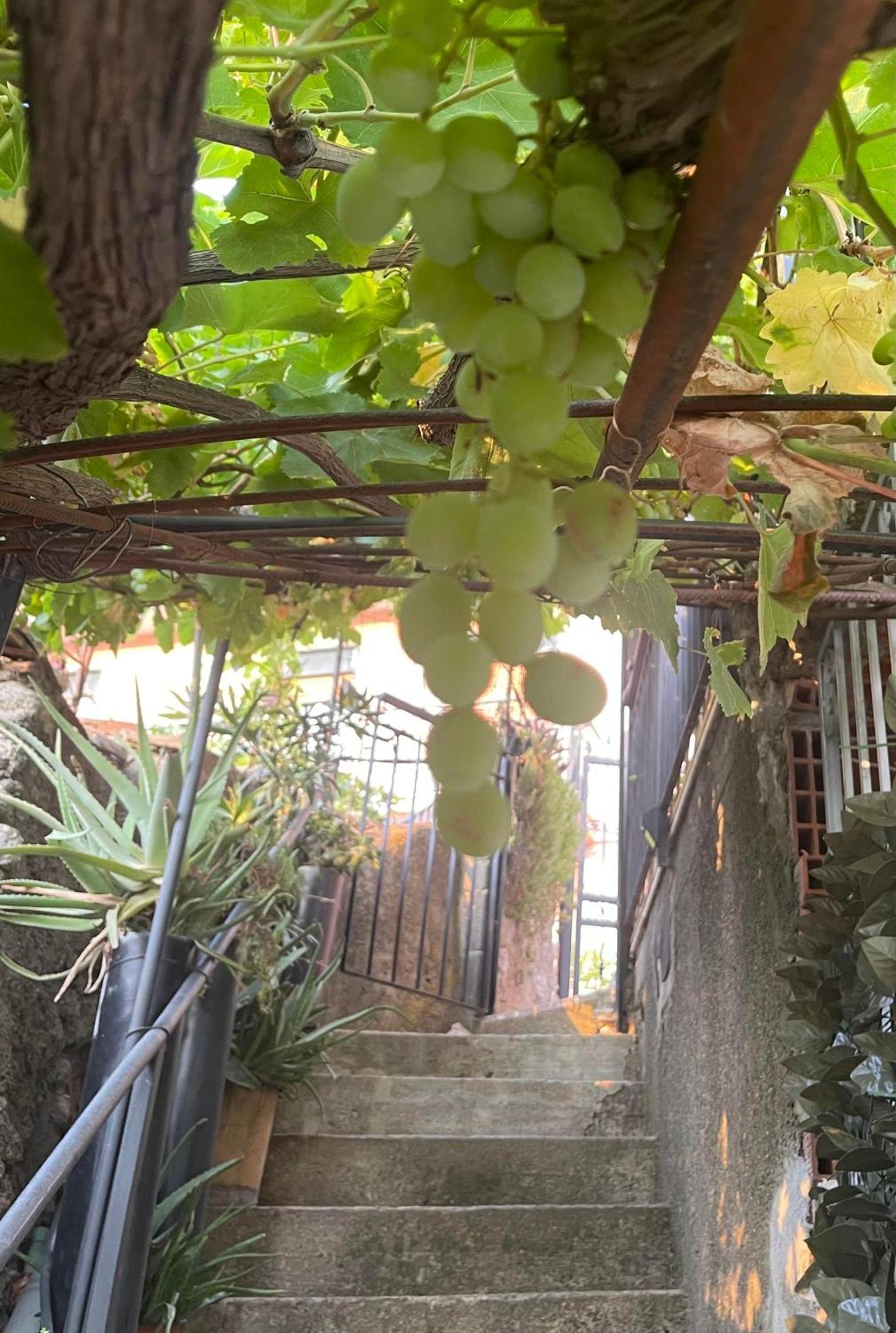 The Secret Garden Vila Forza dʼAgro Exterior foto