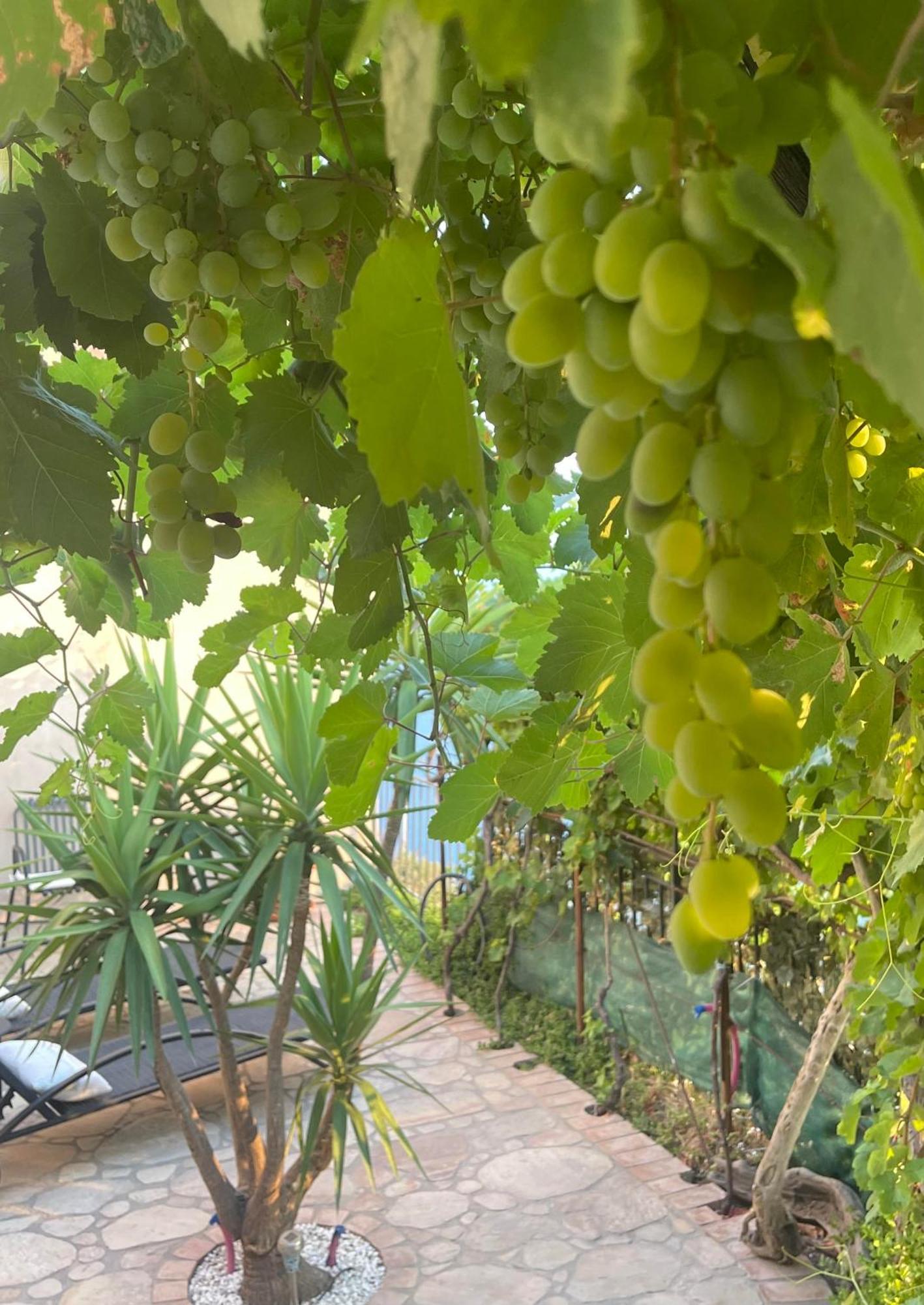 The Secret Garden Vila Forza dʼAgro Exterior foto