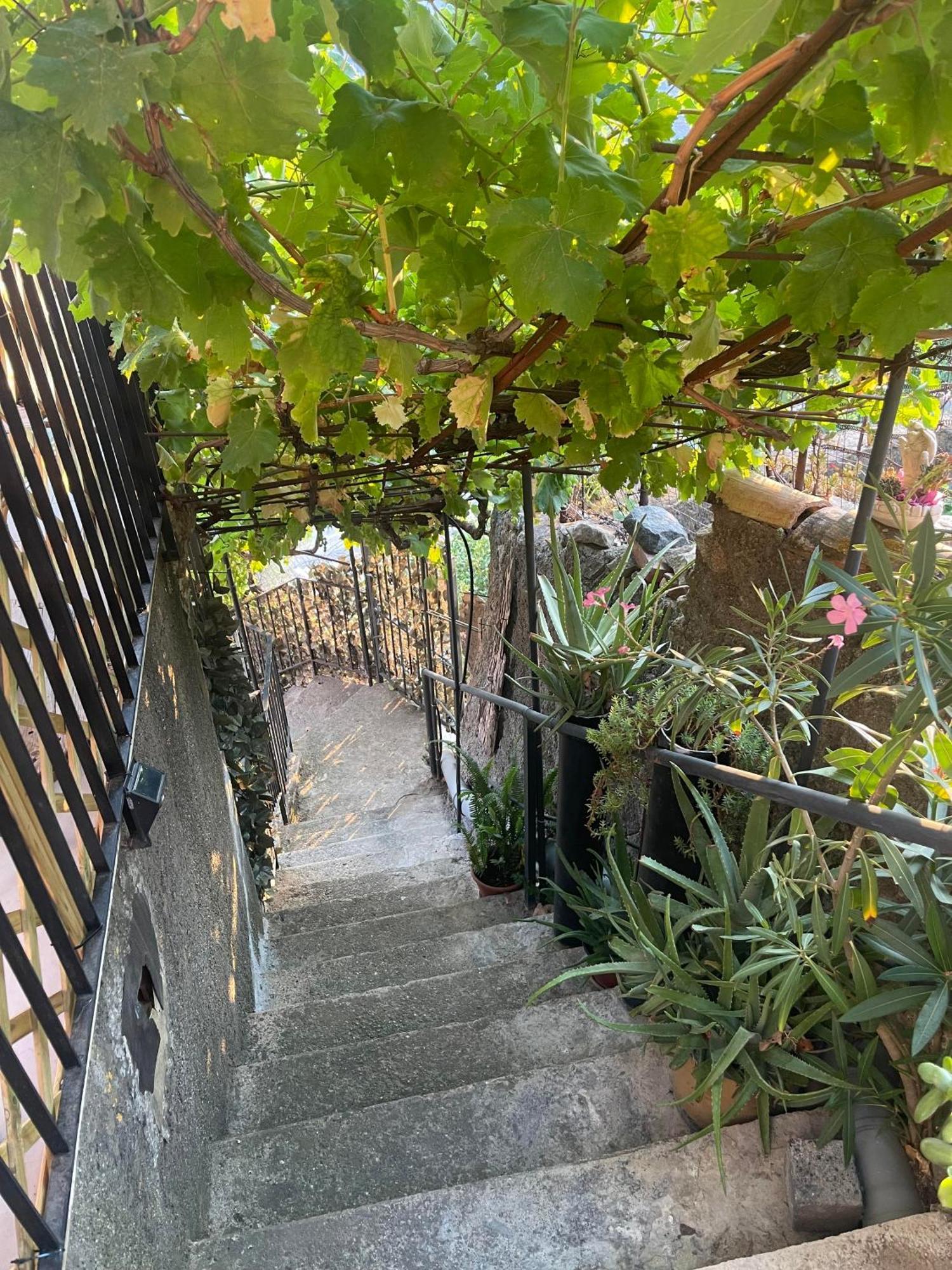 The Secret Garden Vila Forza dʼAgro Exterior foto